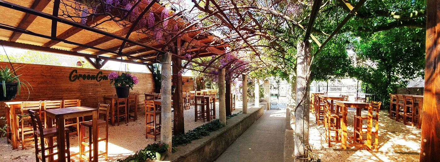 restaurant chairs and tables under trees