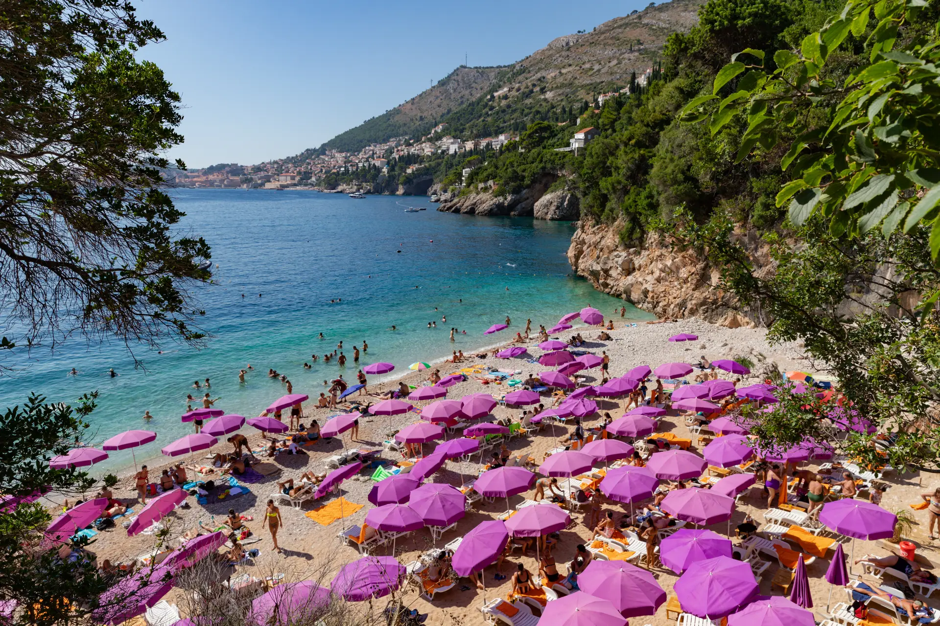 Beach with purple parasols