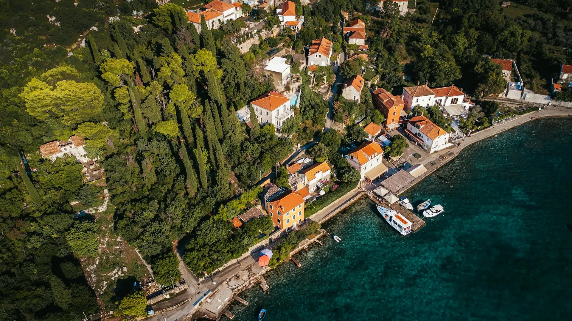 Wood and houses at a coastline